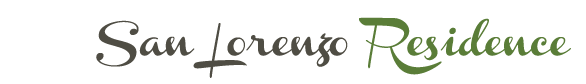 village_logo